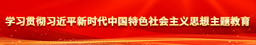 要日美女B学习贯彻习近平新时代中国特色社会主义思想主题教育